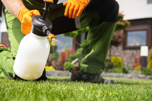 Best Exterminator Services  in Coing, AL