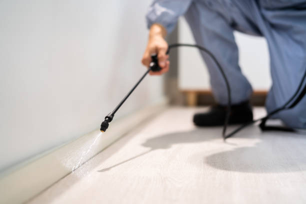 Pest Control Cost in Coaling, AL