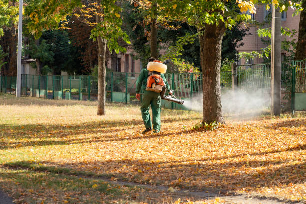 Best Rat Extermination Near Me  in Coing, AL